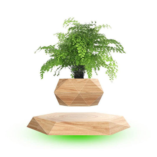 Shop Levitating Bonsai Planter - Goodlifebean Plushie | Stuffed Animal