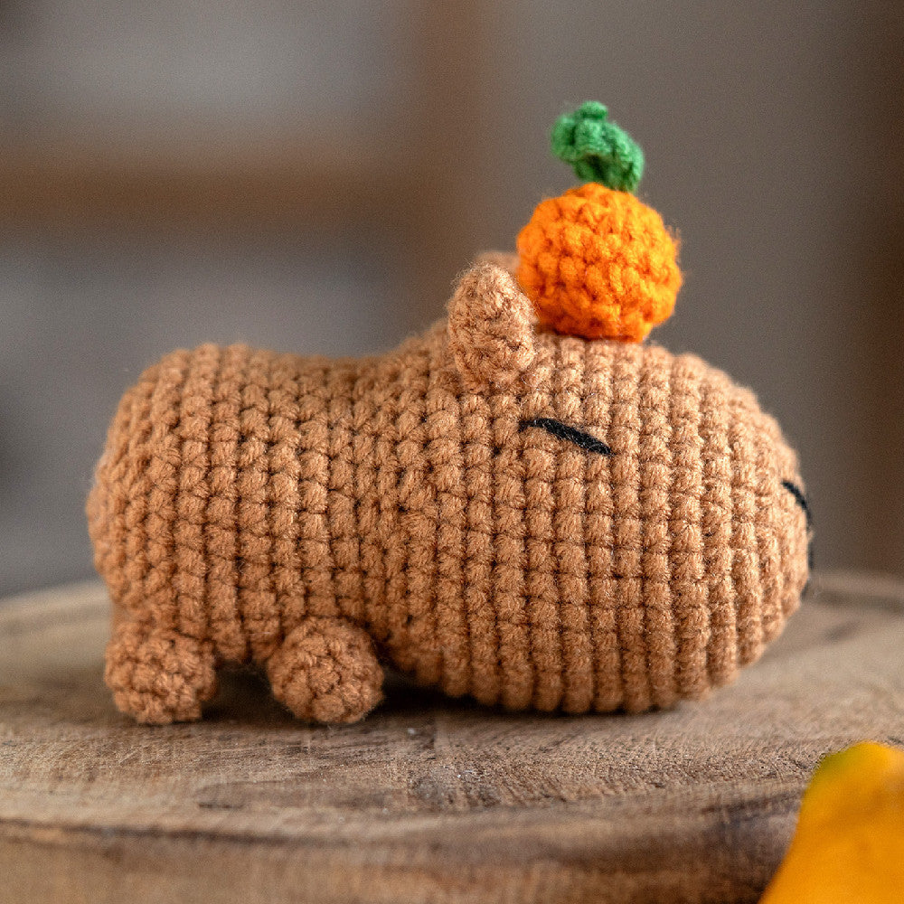 DIY Capybara Crochet