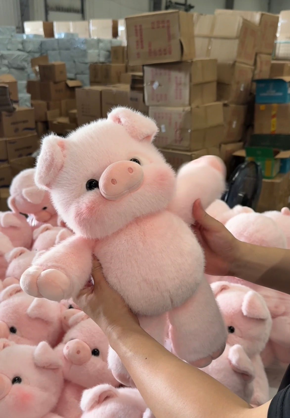 Piggy & Teddy Running Plushie Duo