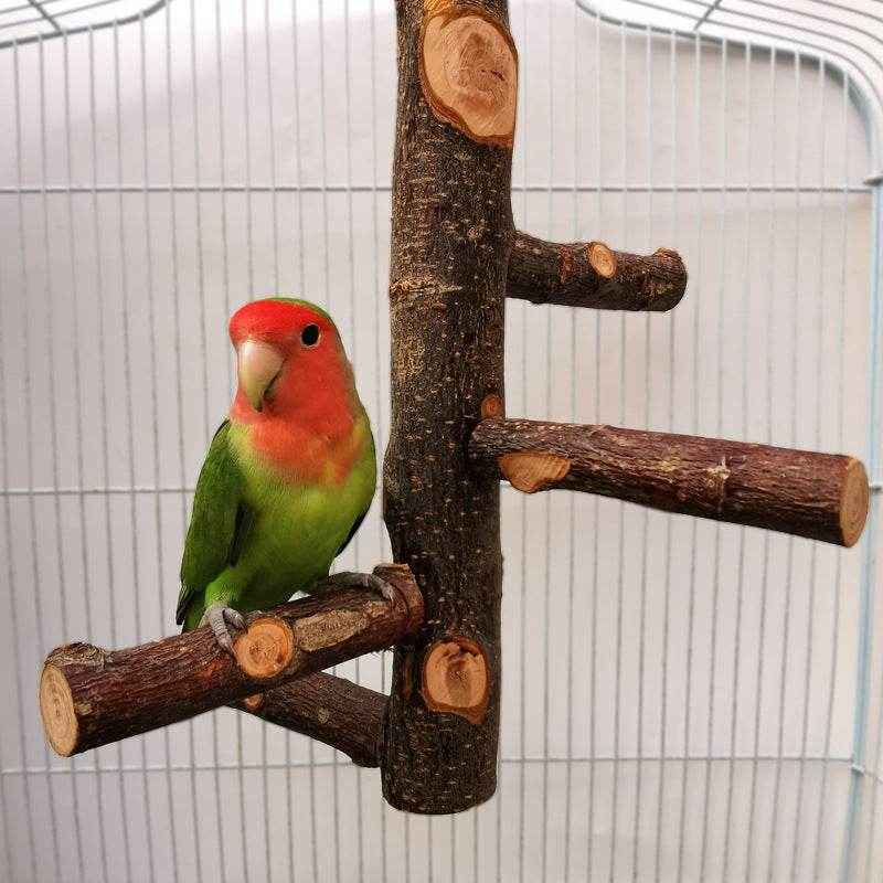 Perch & Play: Parrot Wood Stand | Parakeet Playland - Goodlifebean stuffed animals