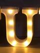 Shop Luminous LED Letter Number Night - Home & Garden Goodlifebean Giant Plushies