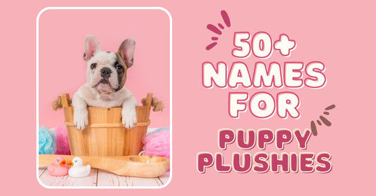 Names for Puppy Plushies | Name Ideas for Puppies | What to know your puppy | Names for dogs