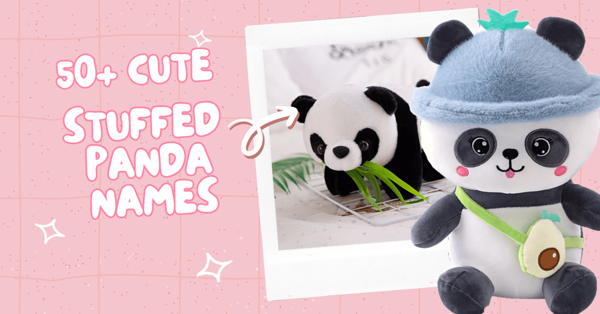 50+ Kawaii Names for Stuffed Panda Plushies | Names for Plushies ...