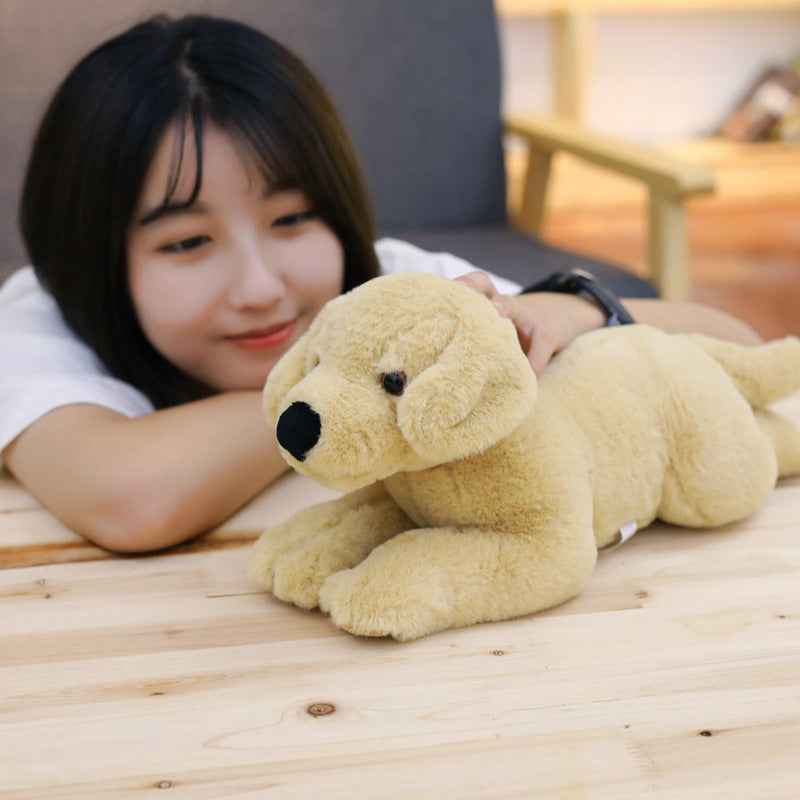 Pupsy: