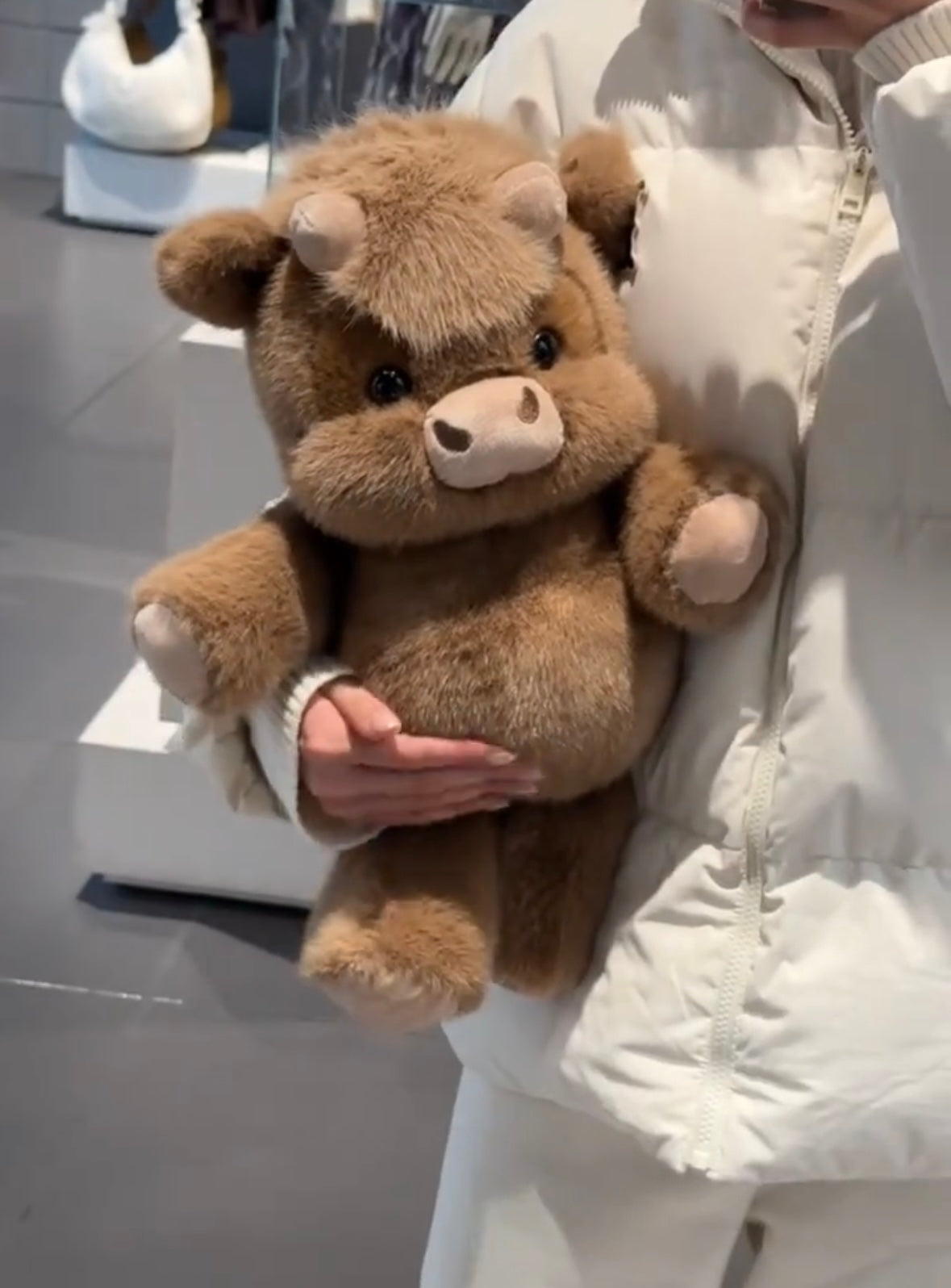 Chubby Highland Cow Plushie