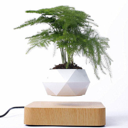 Shop Levitating Bonsai Planter - Home Gadgets Goodlifebean Plushies | Stuffed Animals