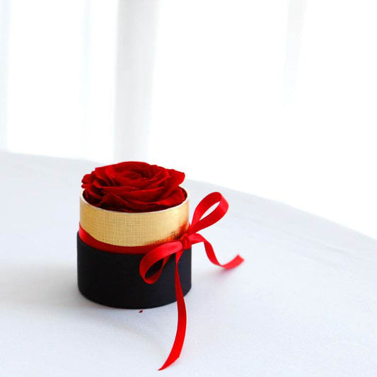Shop Magnificent Box Of Roses | Preserved Rose Gift Box - Goodlifebean Plushie | Stuffed Animal