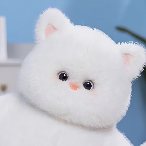 Tutu: Chubby Fluffy Black and White Cat Plushie | Stuffed Animal Cat