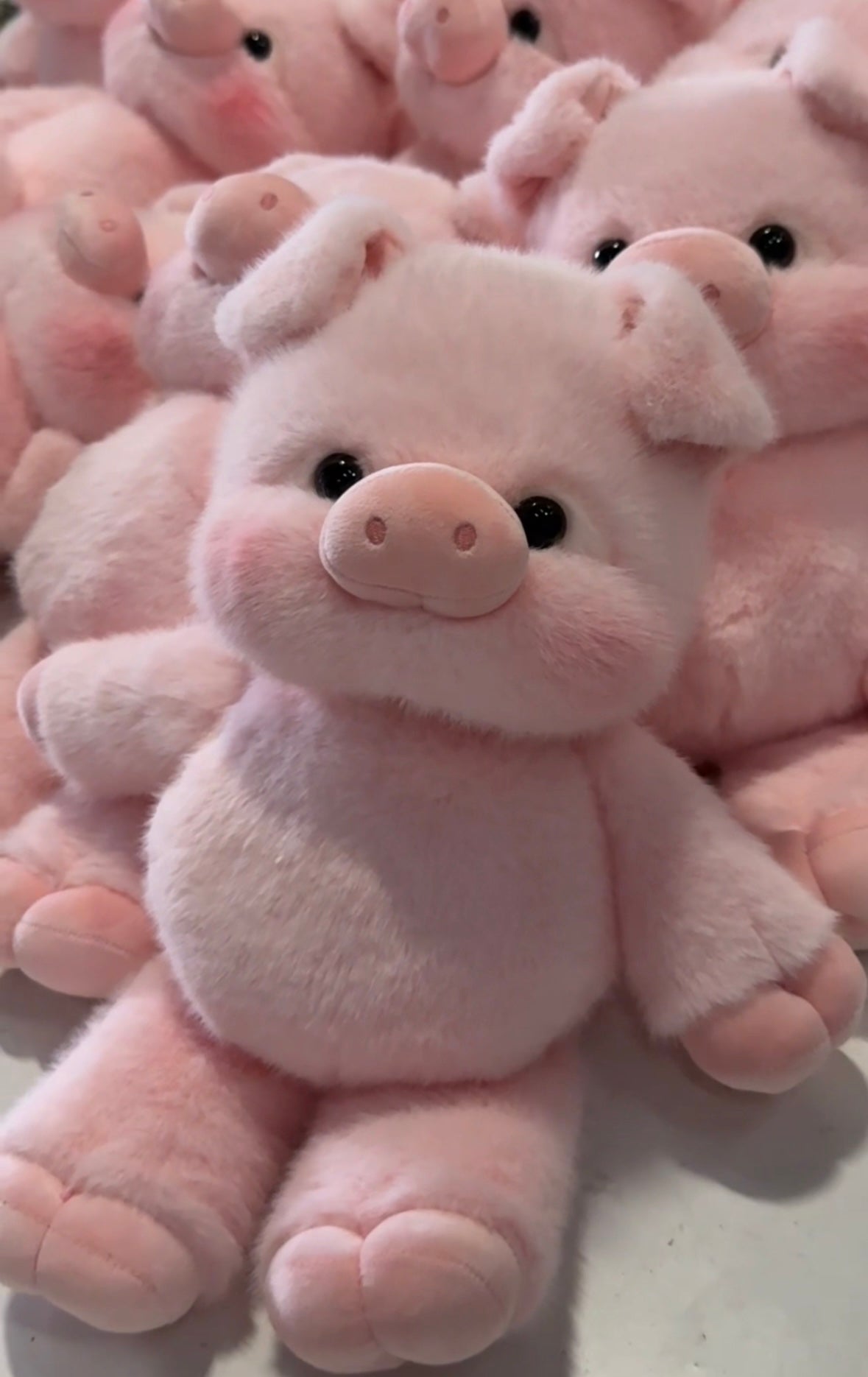 Blushie: Kawaii Piggy Plushie