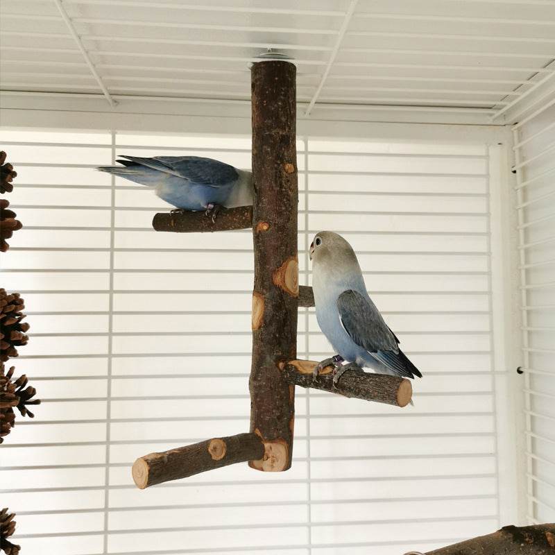 Perch & Play: Parrot Wood Stand | Parakeet Playland.