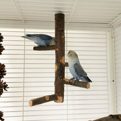 Perch & Play: Parrot Wood Stand | Parakeet Playland.