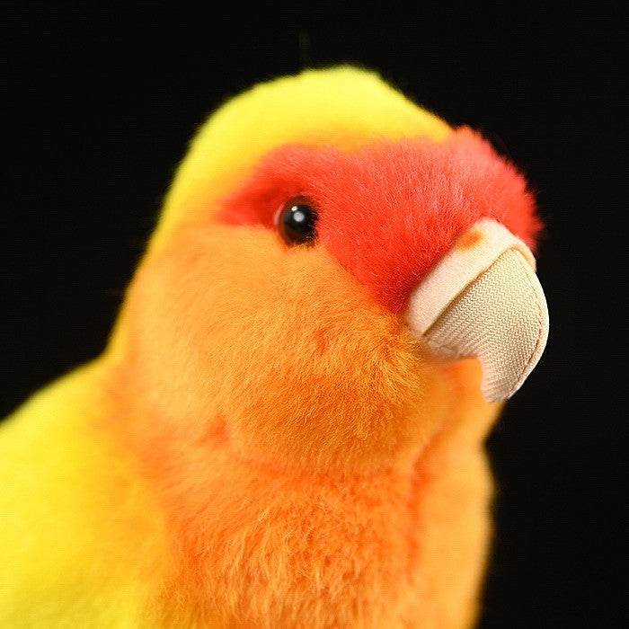 Poppy: Chirpy Parrot Suffed Animal.