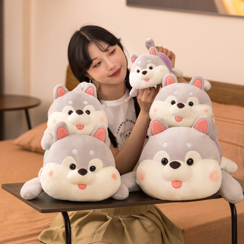 Gigi: Giant Husky Body Pillow Plushie.