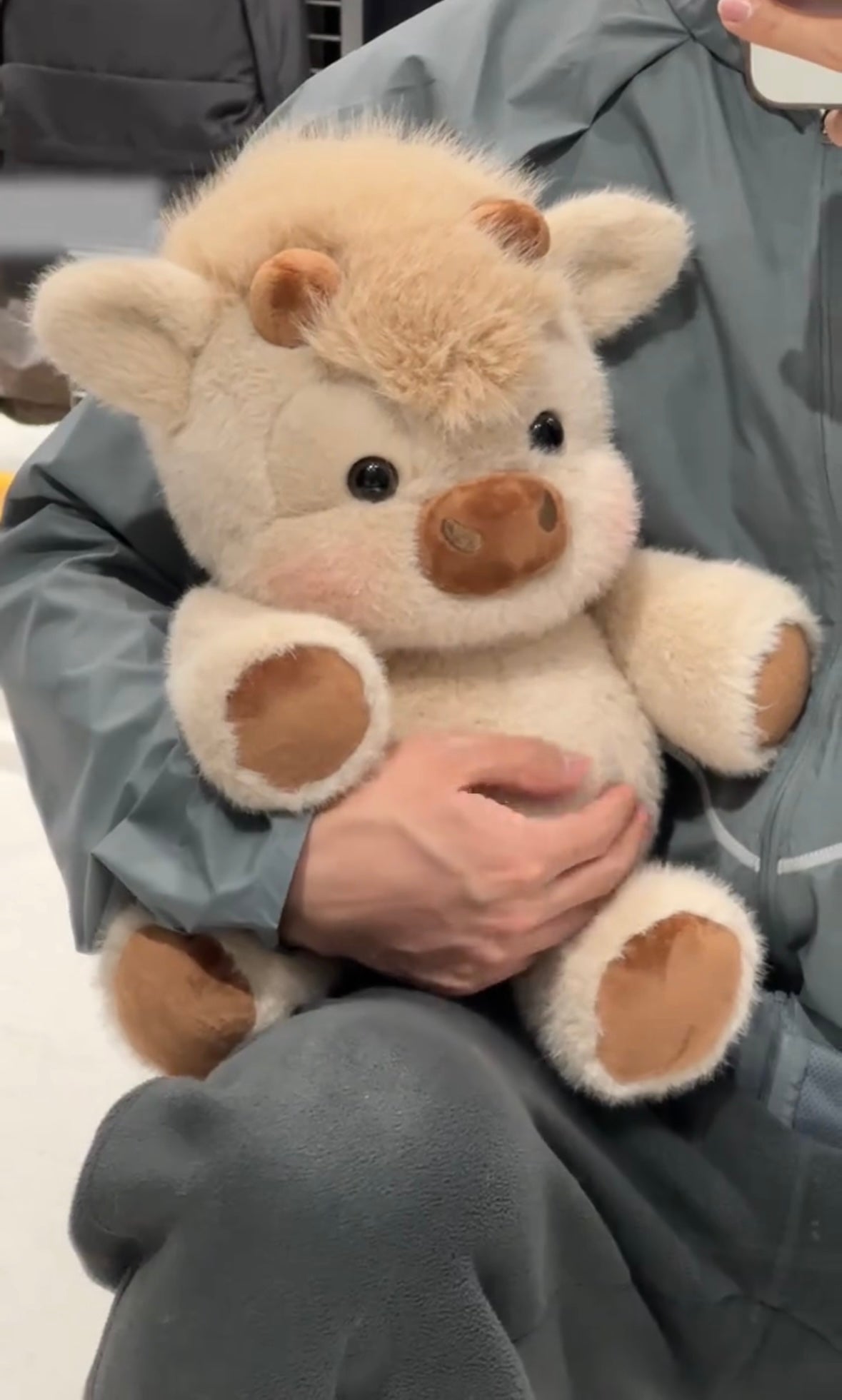 Chubby Highland Cow Plushie