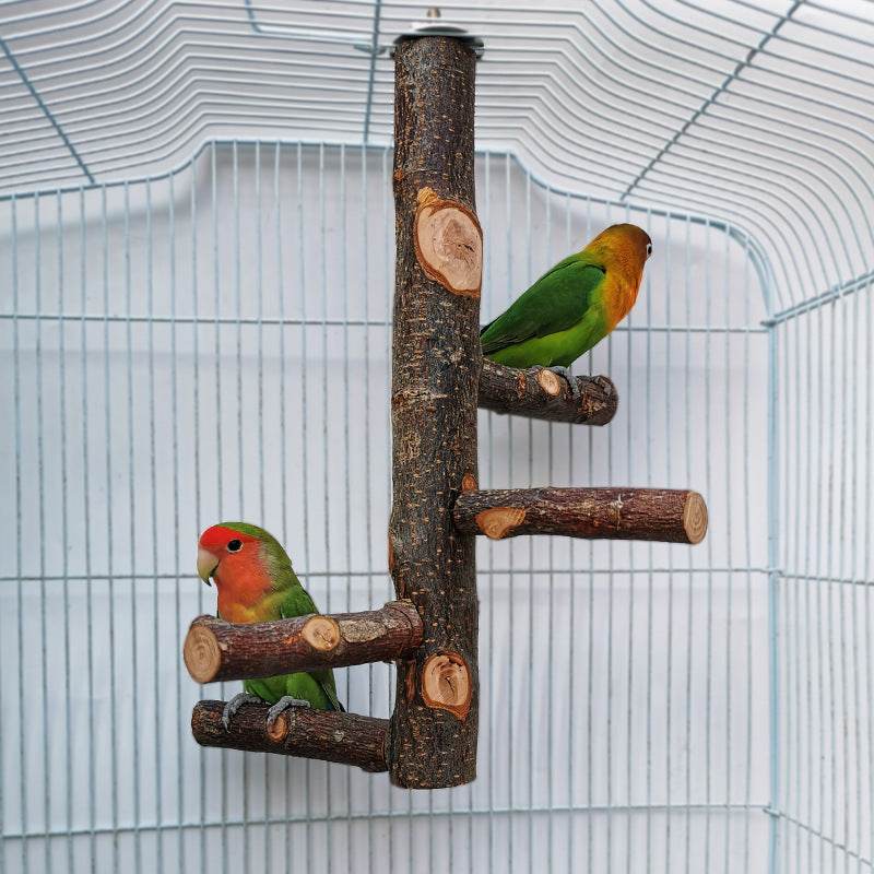 Perch & Play: Parrot Wood Stand | Parakeet Playland.