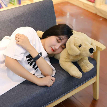 Pupsy: