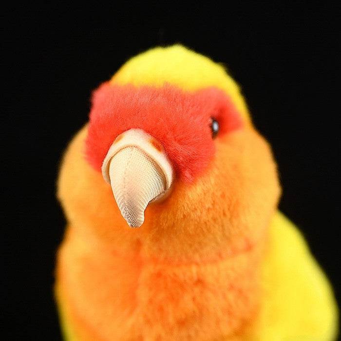 Poppy: Chirpy Parrot Suffed Animal.