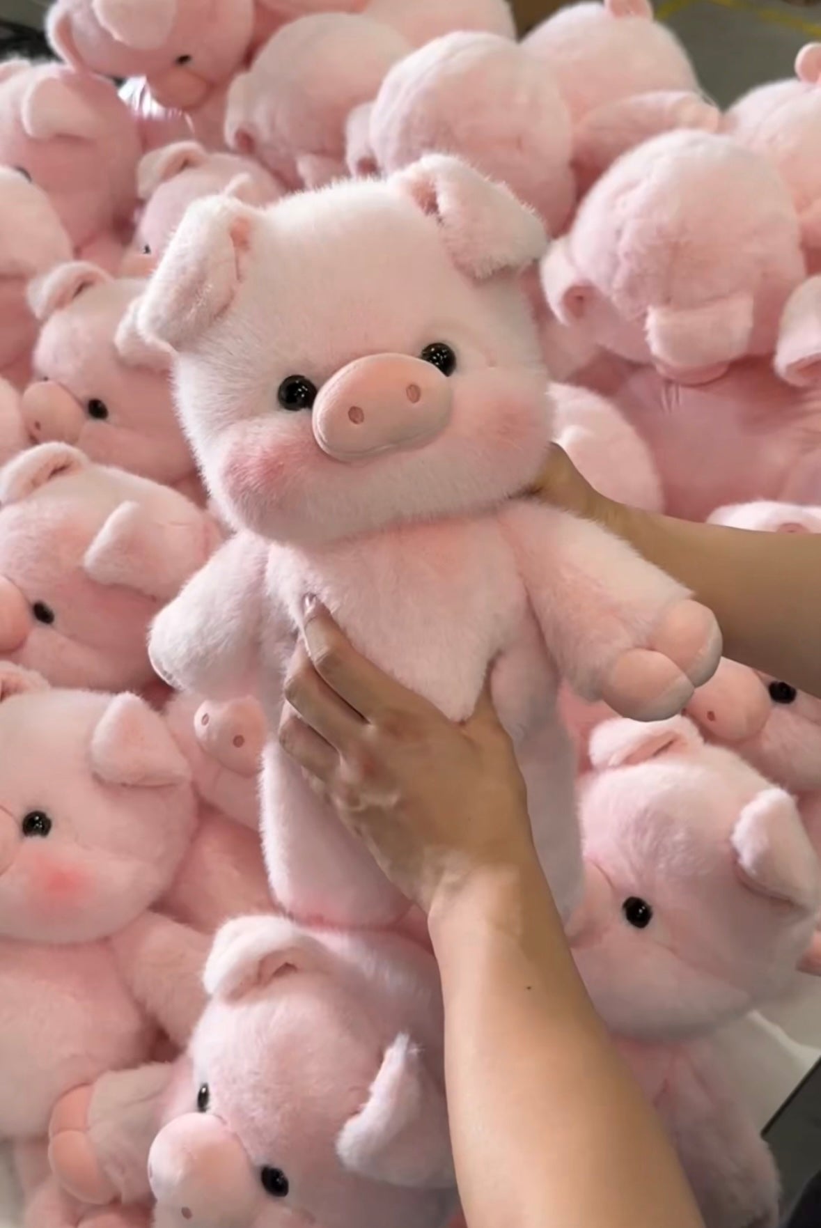 Blushie: Kawaii Piggy Plushie