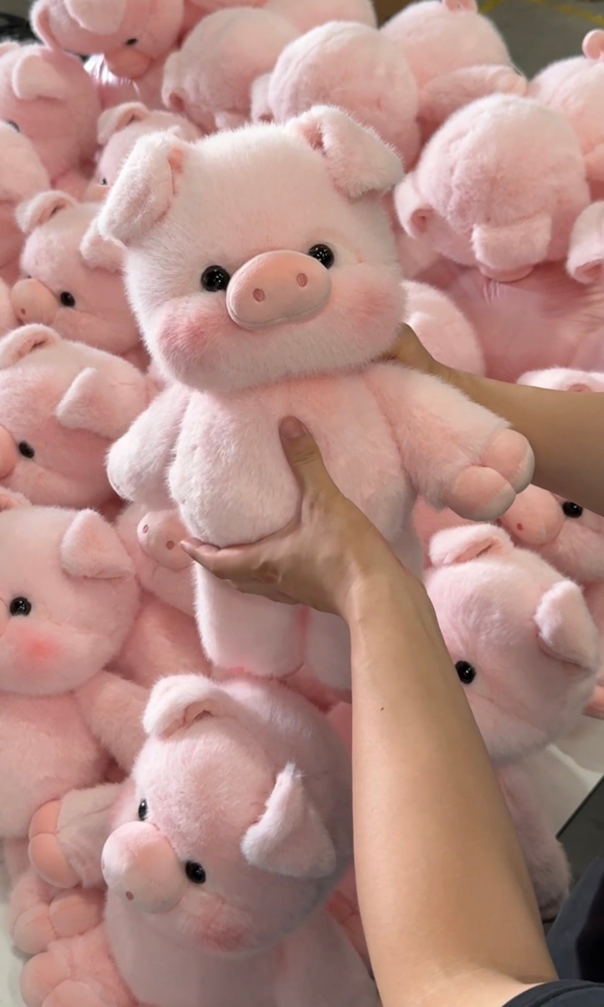 Blushie: Kawaii Piggy Plushie