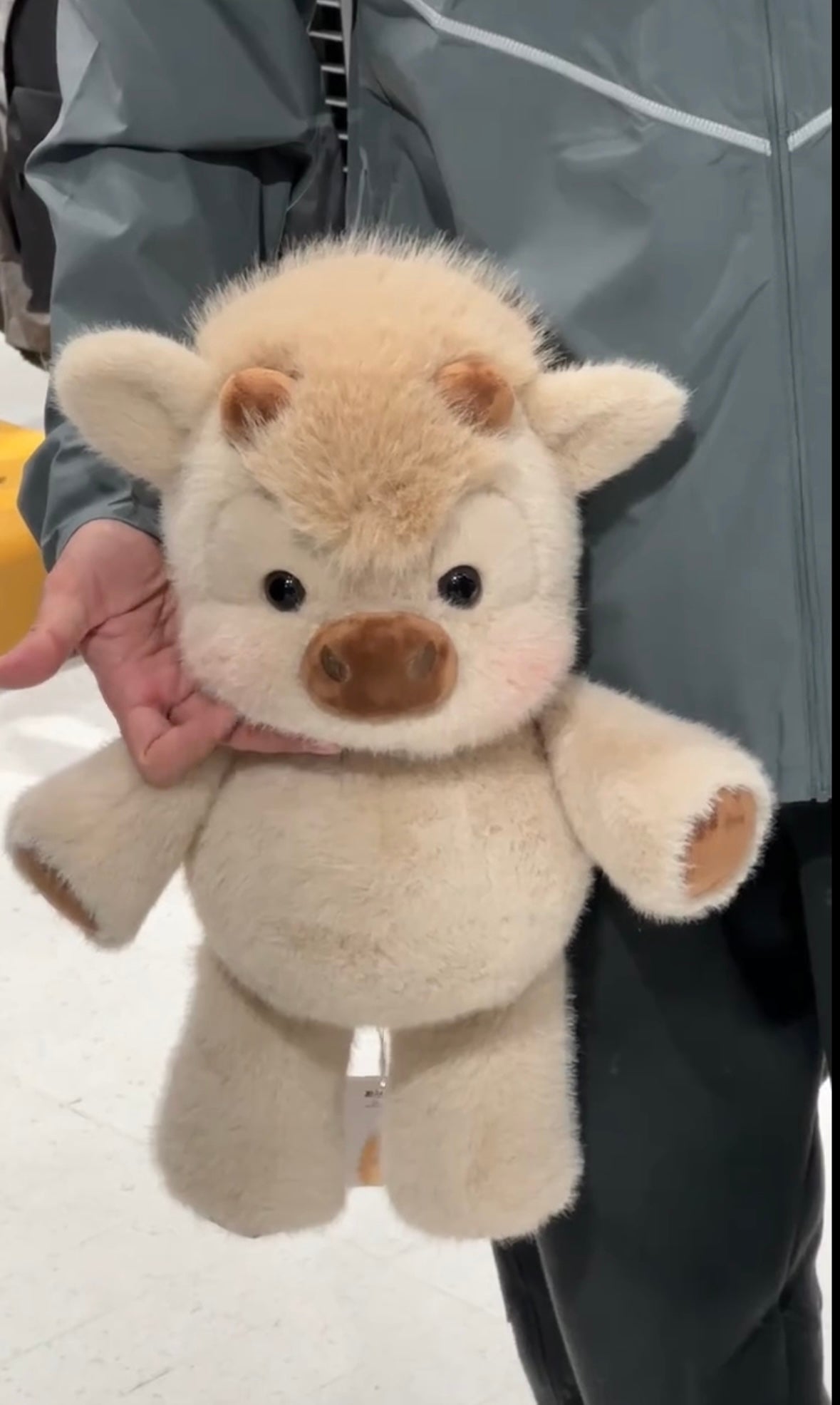 Chubby Highland Cow Plushie