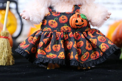 Handmade Rare Pumpkin Patch Labubu Outfit
