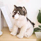 Willow the Wolf Plushie