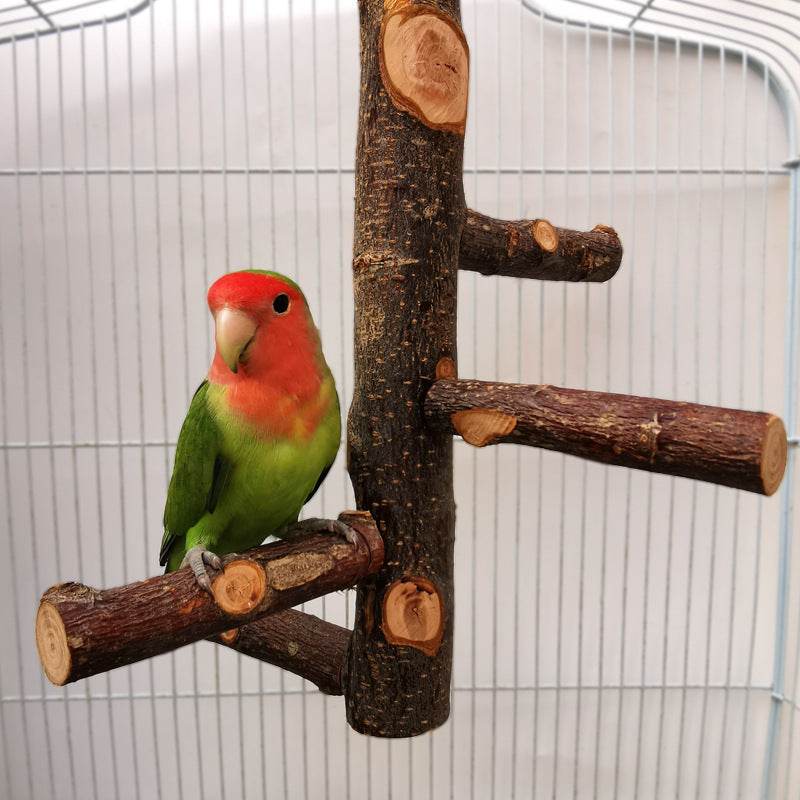Perch & Play: Parrot Wood Stand | Parakeet Playland.