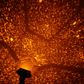 Shop Starry Sky Night Light Projector - Goodlifebean Giant Plushies