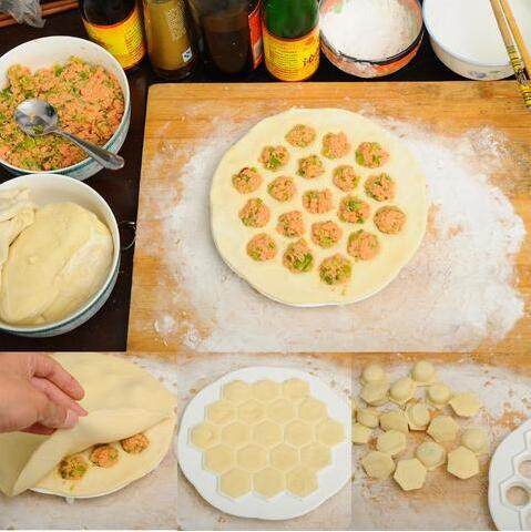 Dumpla: Dumpling Maker - Goodlifebean