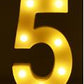 Shop Luminous LED Letter Number Night - Home & Garden Goodlifebean Giant Plushies
