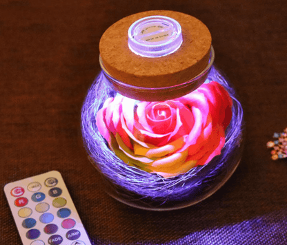 Illuminated Rose Light(Remote Controlled) - Goodlifebean