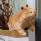 Shop Cute Capybara Plushie - Stuffed Animals Goodlifebean Giant Plushies