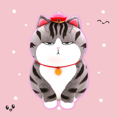 Kawaii Moody Cat Plush | Angry Grumpy Cat Plush