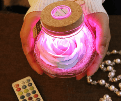 Illuminated Rose Light(Remote Controlled) - Goodlifebean