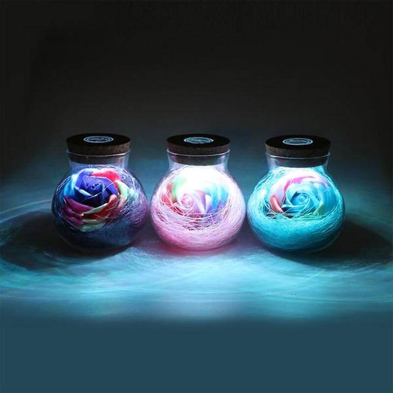 Illuminated Rose Light(Remote Controlled) - Goodlifebean