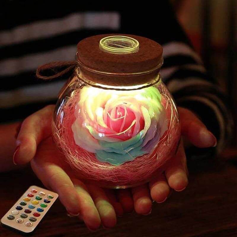 Illuminated Rose Light(Remote Controlled) - Goodlifebean