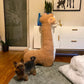 Shop Giant Stuffed Llama Stress Relief Plush - Stuffed Animals Goodlifebean Giant Plushies
