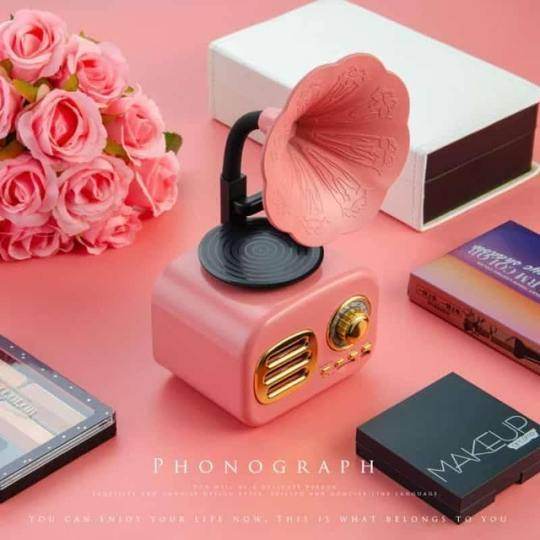 Vintage Gramophone Bluetooth Speaker - Goodlifebean