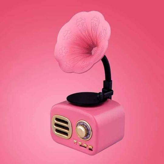 Vintage Gramophone Bluetooth Speaker - Goodlifebean